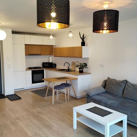 Studio Park Slaski M.10 Katowice/초르조프 외부 사진